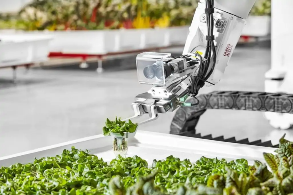 Data-driven software from Ridder makes the greenhouse smarter and greener 