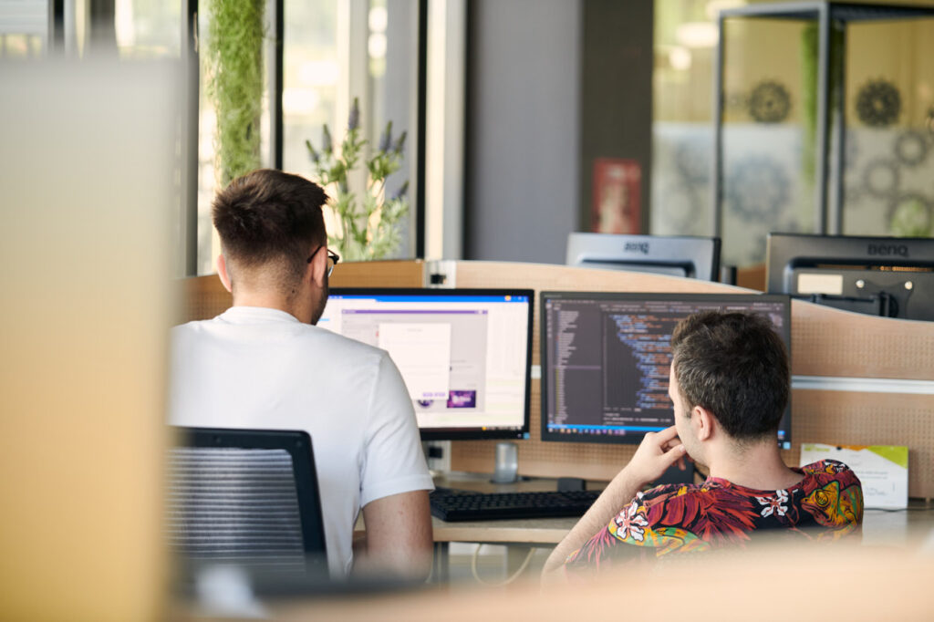 Successful software partnership